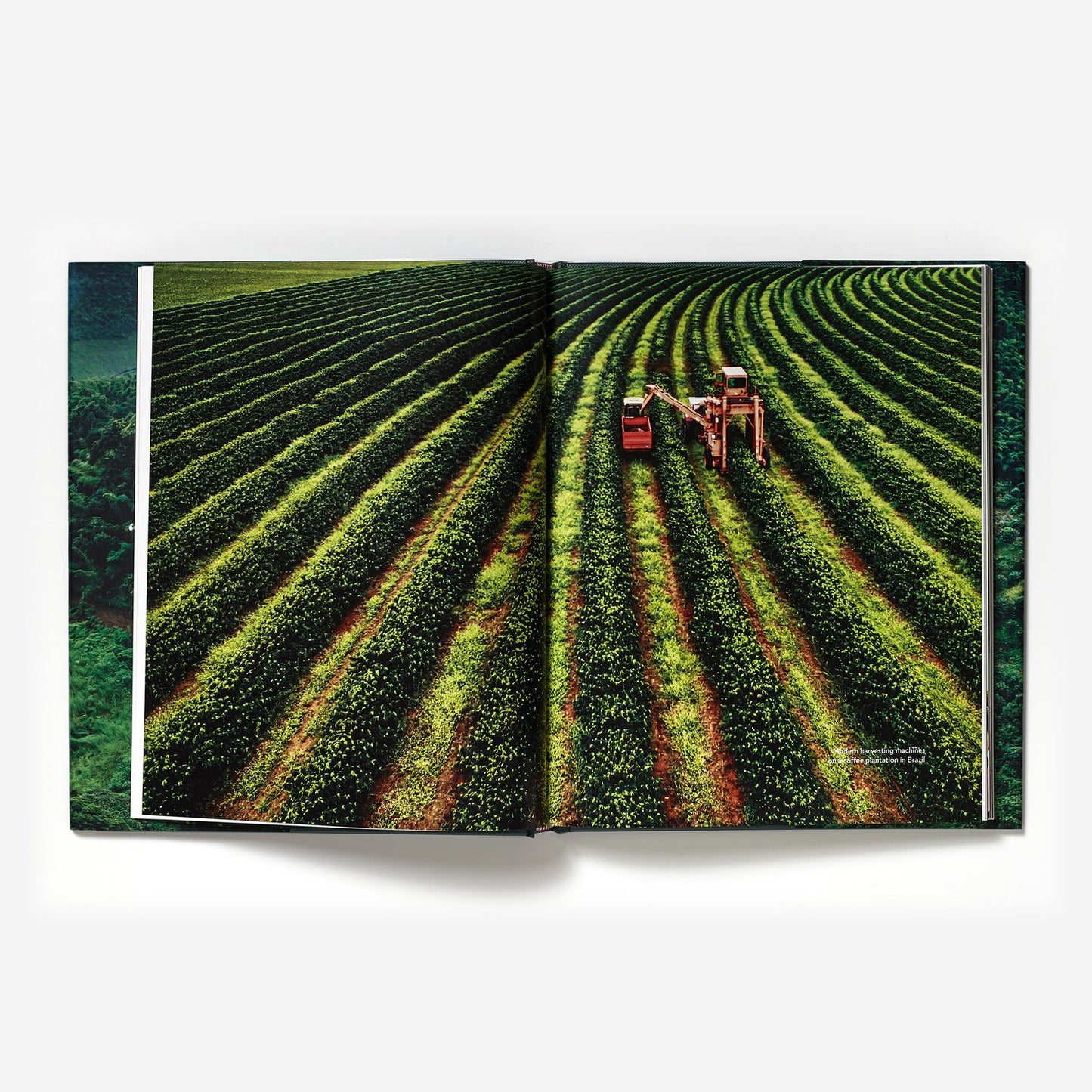 TERROIR