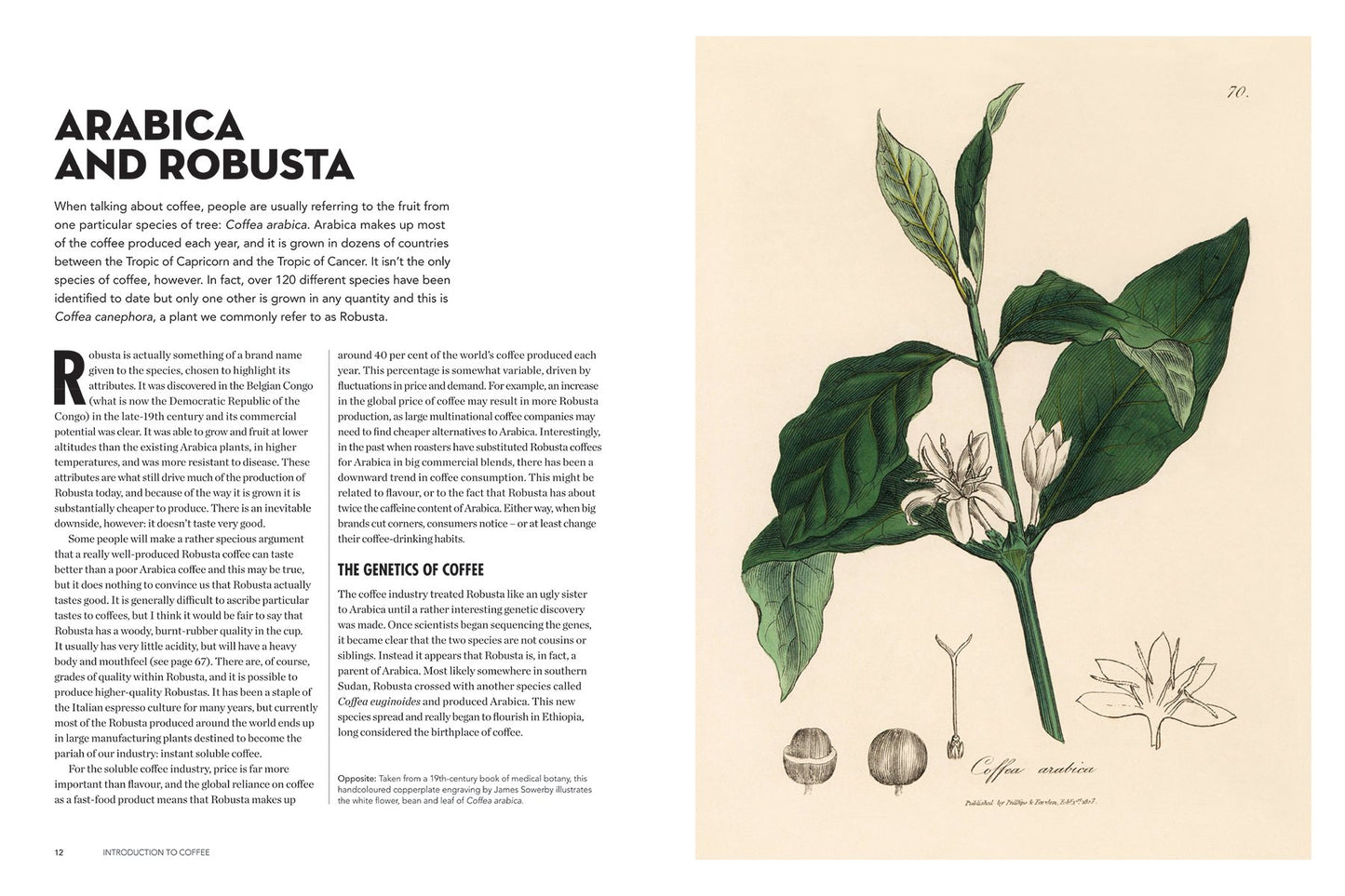 WORLD ATLAS OF COFFEE