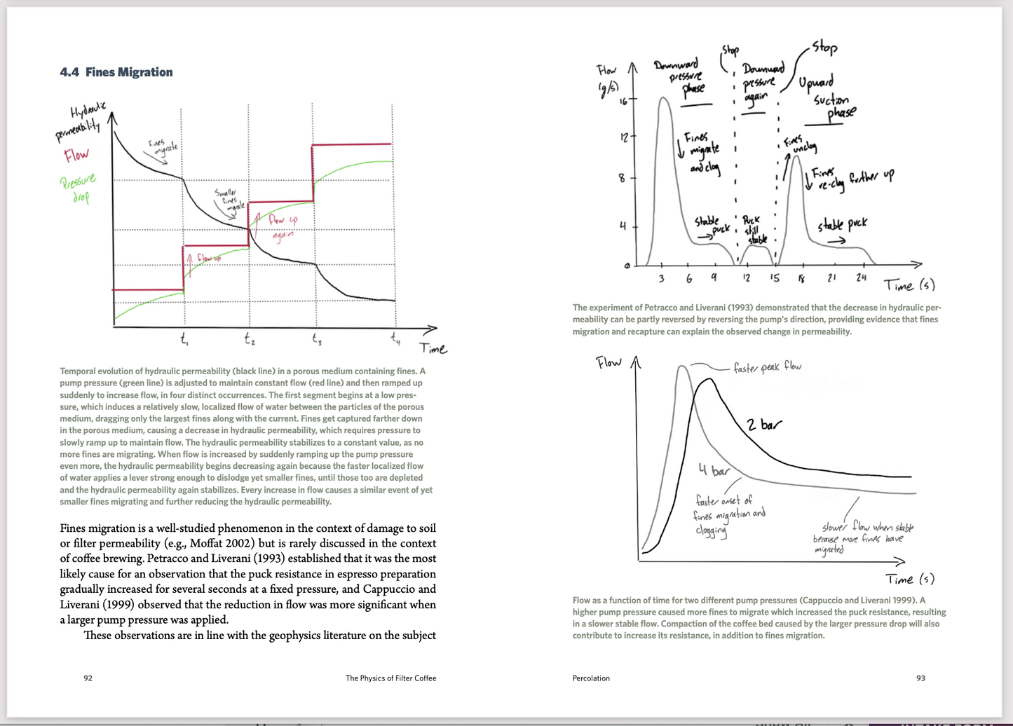 THE PHYSICS OF FILTER COFFEE