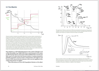 THE PHYSICS OF FILTER COFFEE